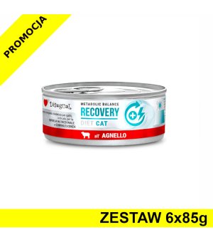 Disugual Veterinary Cat Recovery Jagnięcina ZESTAW 6x 85g