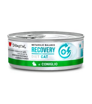 Disugual Veterinary Cat Recovery Królik 85g