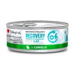 Disugual Veterinary Cat Recovery Królik 85g