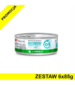 Disugual Veterinary Cat Recovery Królik ZESTAW 6x 85g