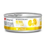 Disugual Veterinary Cat Renal Kurczak 85g