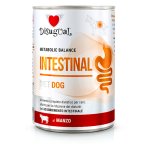 Disugual Veterinary Dog Intestinal Wołowina 400g