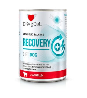 Disugual Veterinary Dog Recovery Jagnięcina 400g