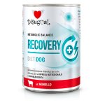 Disugual Veterinary Dog Recovery Jagnięcina 400g