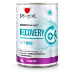 Disugual Veterinary Dog Recovery Kaczka 400g