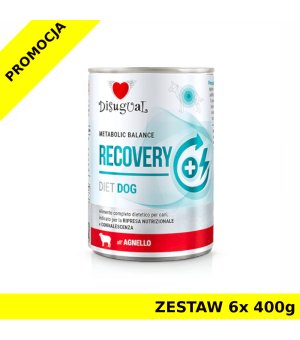Disugual Veterinary Dog Recovery Jagnięcina ZESTAW 6x 400g