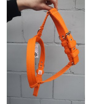 EL PERRO Szelki dla psa Juicy 54-64/64-73 cm; 3cm XL pomarańczowe