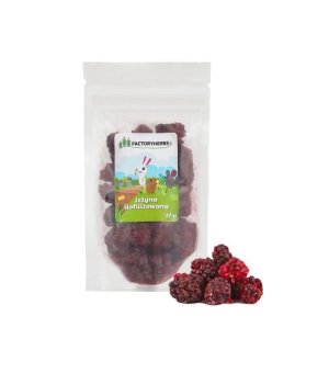 FACTORYHERBS Jeżyna Liofilizowana 20g