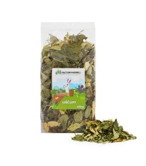 FACTORYHERBS Liść Lipy 100g