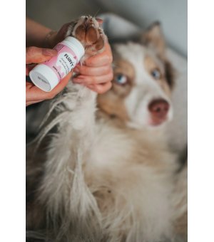 FLUFFY PET Sztyft nawilżający do łap i noska 23ml