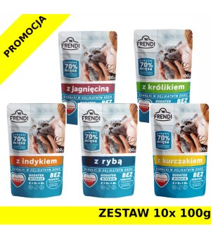 Frendi kawałki mięsa w delikatnym sosie MIX SMAKÓW dla kota ZESTAW 10x 100g
