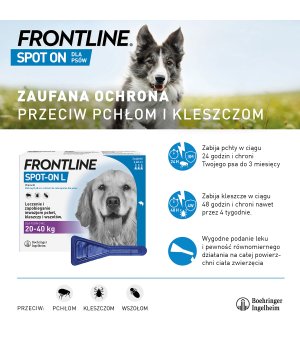 FRONTLINE Spot On pies L 1 x 2,68ml - Krótki termin: 30.08.2025r.