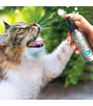 Green Sante Naturalny Spray do Jamy Ustnej 100ml