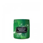 Holista Boswellia Serrata 100g termin 22.11.2025