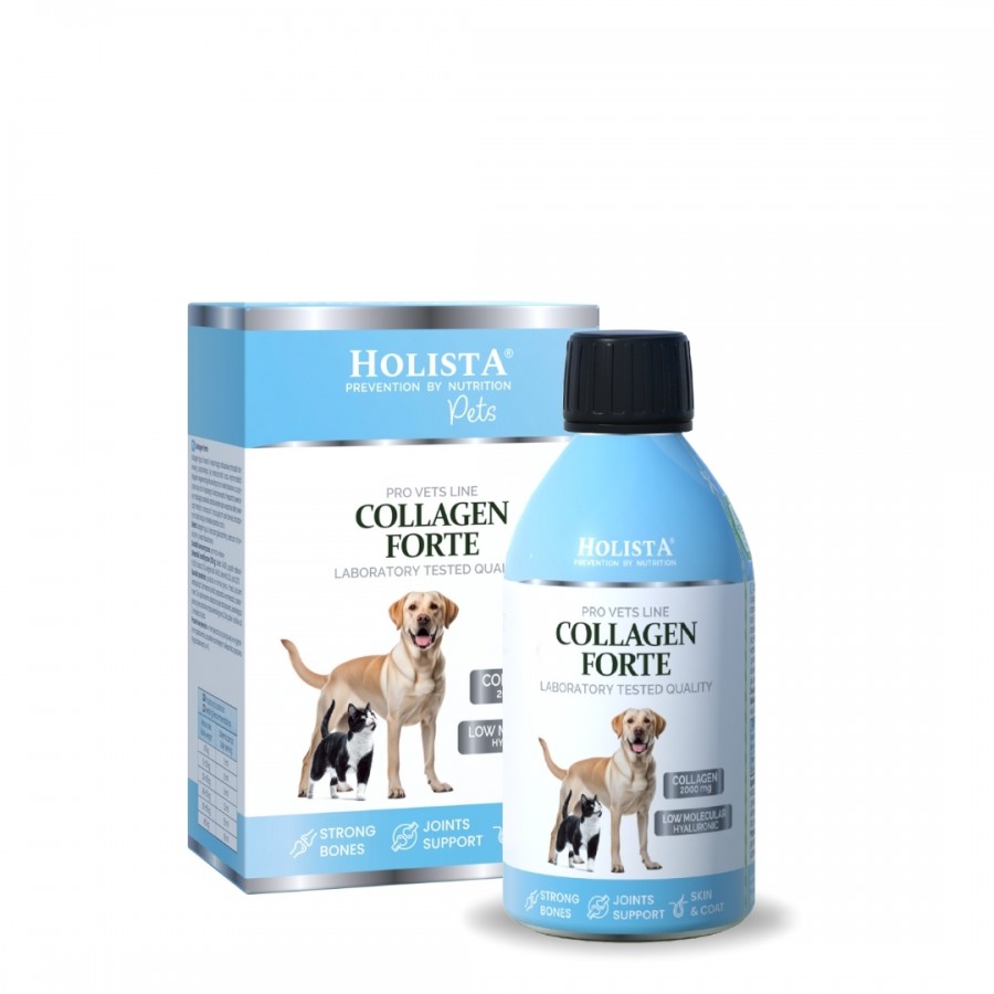Holista Collagen Forte 100ml