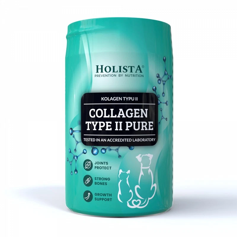 Holista Collagen Type II Pure 200g