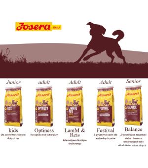 Karma sucha dla psa Josera Balance Senior Light 12,5kg - nowa gramatura (uszkodzone opakowanie)