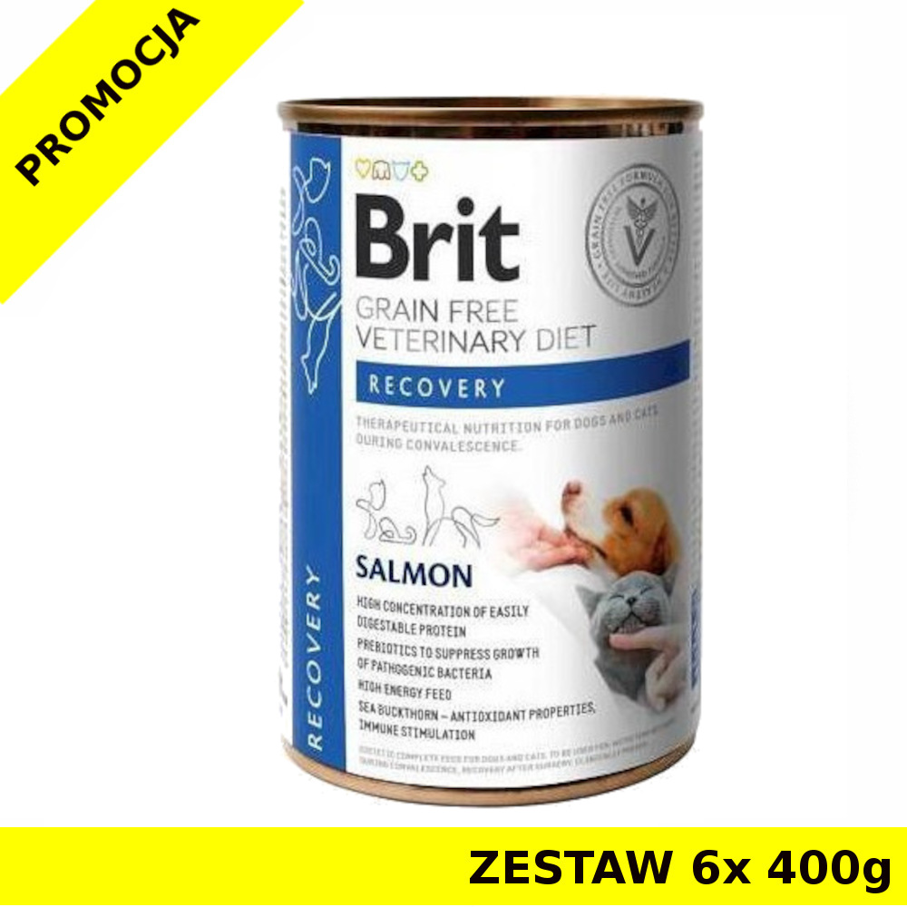 Karma mokra dla psa i kota Brit Veterinary Diet Recovery Salmon ZESTAW 6x 400g