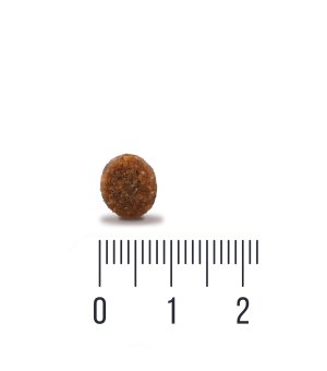 Karma sucha dla kociąt Quattro Kitten - drób 1,5kg