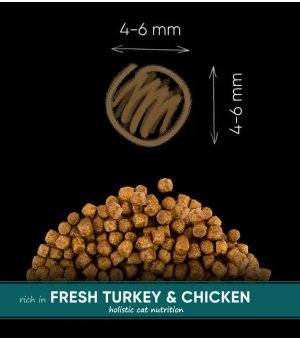 Karma sucha dla kociąt Savory Kitten Chicken Fresh Turkey 8kg