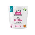 Karma sucha dla psa Brit Care GF Puppy All Salmon  1kg 