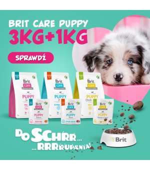 3kg+1kg - Chicken Insect - Puppy - Brit Care Sustainable - szczeniak - karma dla szczeniąt kurczak z insektami