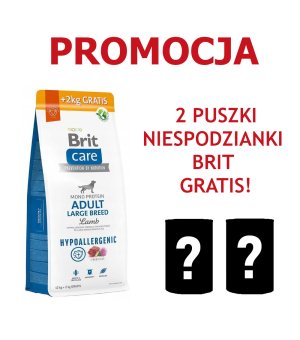 Karma sucha dla psa Brit Care Hypoallergenic Adult Large Breed Lamb 12kg + 2kg GRATIS