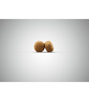 Karma sucha dla psa Josera Balance Senior Light 900g 