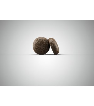Karma sucha dla psa Josera Festival 900g 