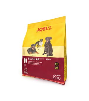 Karma sucha dla psa Josera JosiDog Regular - 900g