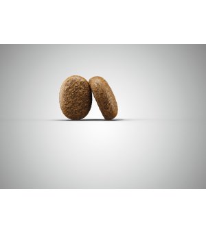 Karma sucha dla psa Karma Josera Optiness 900g