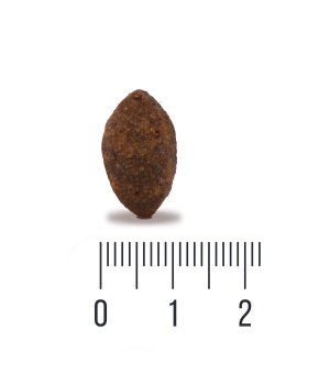 Karma sucha Quattro Adult dla psów dorosłych wszystkich ras Łosoś i Kryl 3kg