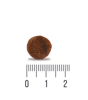 Karma sucha Quattro Junior Large dla szczeniąt ras dużych Kaczka 1kg (waga)