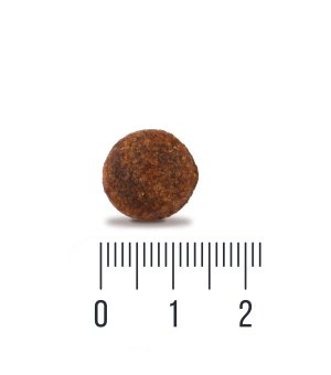 Karma sucha Quattro Small Adult dla psów dorosłych ras małych Kaczka 1,5kg