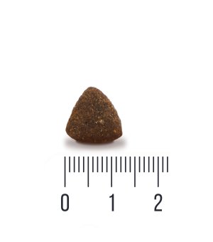 Karma sucha Quattro Small Adult dla psów dorosłych ras małych Jagnięcina 1,5kg