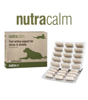 NUTRACALM FOR DOGS AND CATS - 60 kapsułek
