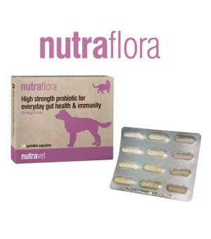 NUTRAFLORA FOR DOGS AND CATS 48KAPS.