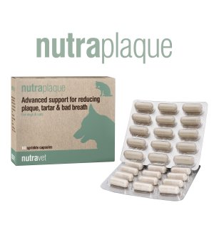 NUTRAPLAQUE FOR DOGS AND CATS Blister 15kaps.