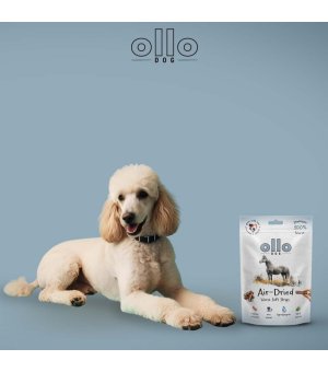 Ollo Air-Dried 100% Horse Strips 80g