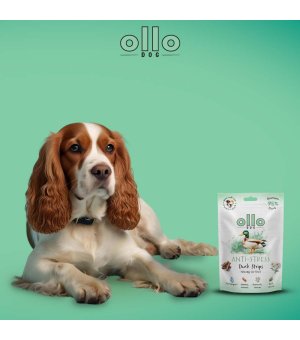 Ollo Air-Dried Anti Stress Duck Strips 80g