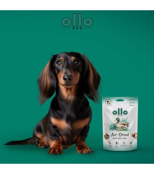Ollo Air-Dried Duck Soft Cubes - trenerki z Kaczki 80g