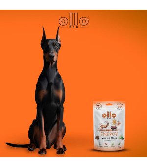 Ollo Air-Dried Energy Venision Strips 80g