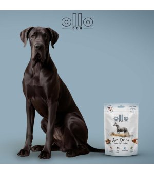 Ollo Air-Dried Horse Soft Cubes - trenerki z Koniny 80g