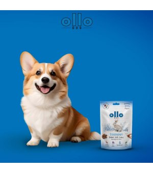 Ollo Air-Dried Rabbit Soft Cubes - trenerki z Królika 80g