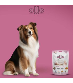 Ollo Air-Dried Skin & Coat Lamb Strips 80g