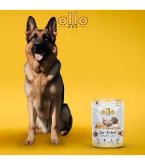 Ollo Air-Dried Turkey Soft Cubes - trenerki z Indyka 80g