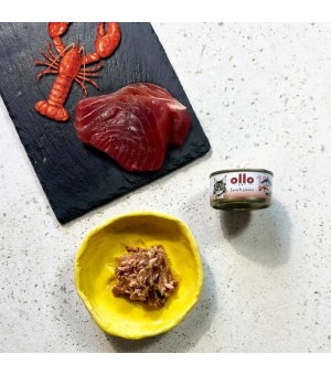 Ollo karma mokra dla kotów dorosłych nr. 11 Tuńczyk i Homar 70g