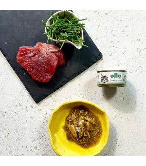 Ollo karma mokra dla kotów dorosłych nr. 8 Tuńczyk i Algi 70g