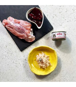 Ollo karma mokra dla kotów dorosłych nr. 7 Kurczak i Serca Kurczaka 70g