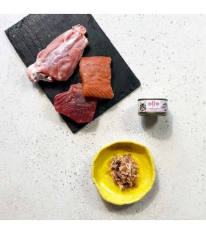 Ollo karma mokra dla kotów dorosłych nr. 2 Tuńczyk, Kurczak i Łosoś 70g